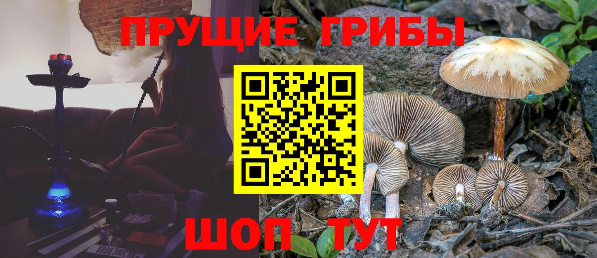 Сергиев Посад  Галлюциногенные грибы Magic Shrooms  Вход с VPN  Псилоцибиновые грибы ЛСД 