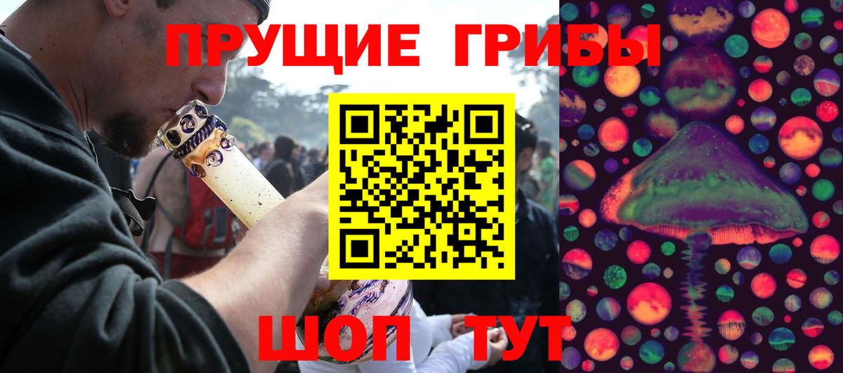 Галлюциногенные грибы Psilocybine cubensis Сергиев Посад